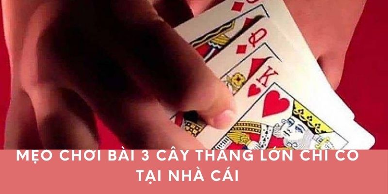 Mẹo chơi bài 3 cây thắng lớn chỉ có tại nhà cái