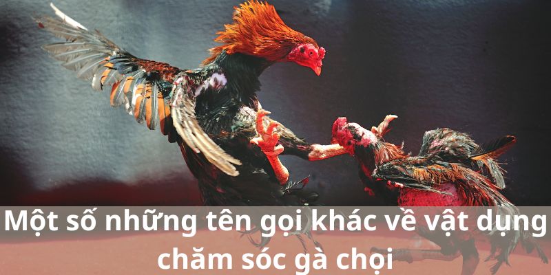 Một số những tên gọi khác về vật dụng chăm sóc gà chọi