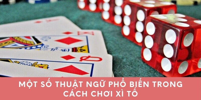 Một số thuật ngữ phổ biến trong cách chơi xì tố