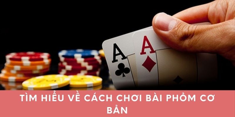 Tìm hiểu về cách chơi bài phỏm cơ bản